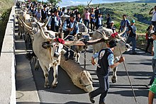 Festa del Mascio