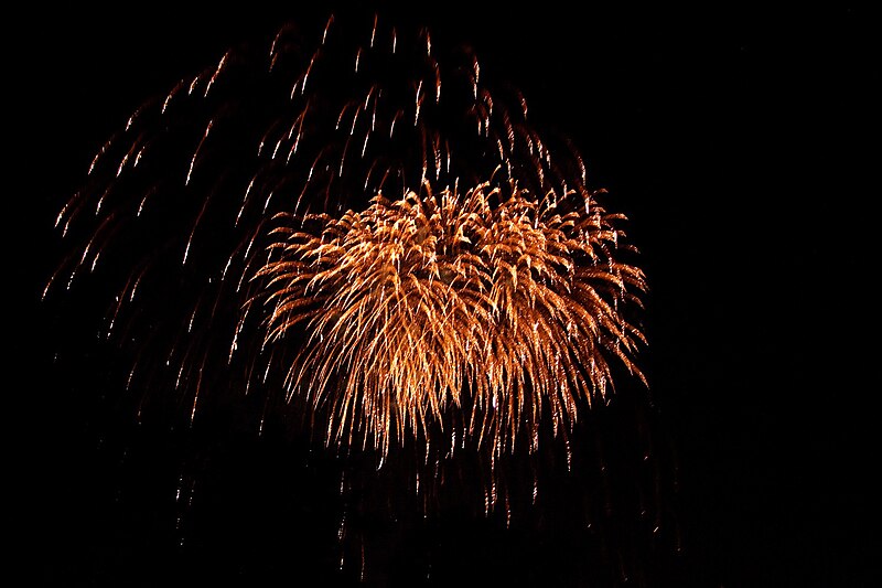 File:Feuerwerk Maximilianpark 2010 (10572875946).jpg