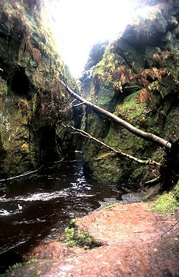 Finnich Glen, Scotland's answer to the Grand Canyon^ - geograph.org.uk - 1126623