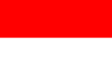 Провинция Чикитос - Флаг