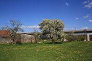 Deutsch: Landschftsschutzgebiet Auenverbund Fulda rund um die Fliede bei Eichenzell-Kerzell, Streuobstbäume in der Nähe