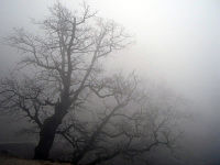 Niebla en una región montañosa griega