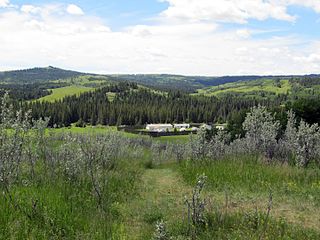 <span class="mw-page-title-main">Fort Walsh</span> Historic site in Saskatchewan, Canada