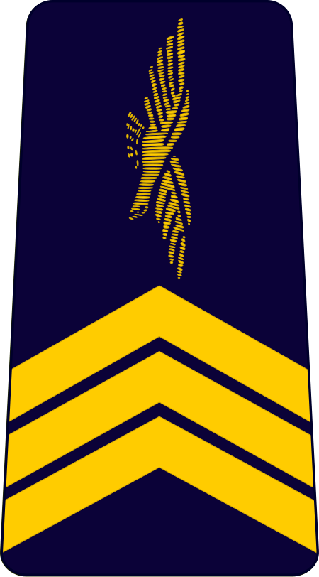 ไฟล์:French_Air_Force-sergeant-chef.svg