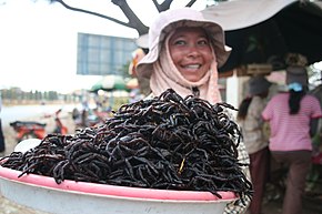 L'homme a un comportement ambigu vis-à-vis de l'araignée : fascinante, utile et détestée, présente dans de nombreux mythes anciens et légendes, et ici appréciée comme délice culinaire (Cambodge).