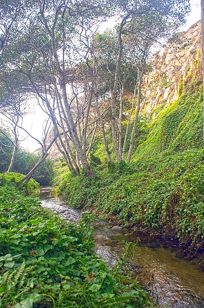 File:Garrapata Creek California 2006 04.jpg