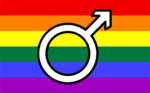 Thumbnail for File:Gay male flag.png
