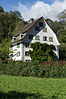 House in der Wiese Glarus-Haus-in-der-Wiese.jpg