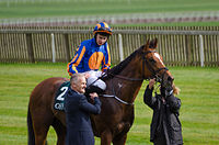 Gleneagles (cheval)