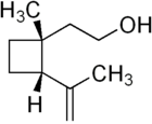 Skeletna formula grandisola