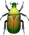 Green beetle