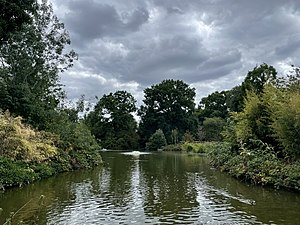Greenwich Park Pond