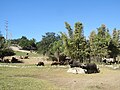 Guadalajara Zoo