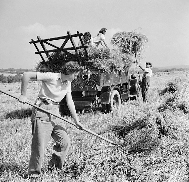 File:Harvesting at Mount Barton, Devon, England, 1942 D10307.jpg