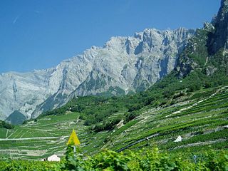 Haut de Cry Mountain in Switzerland