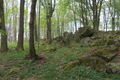 English: Basalt Outcrop near Birkenhof, Lanzenhain, Herbstein, Hesse, Germany