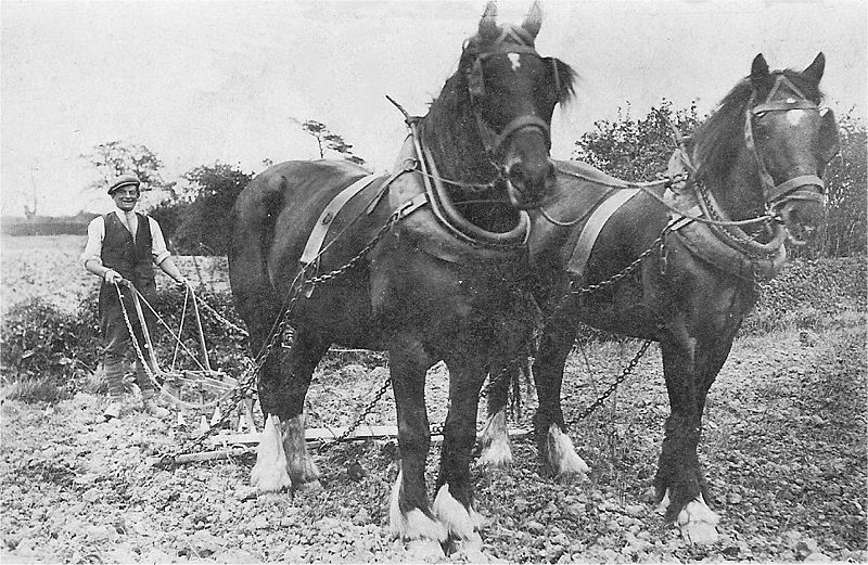 File:Horse-drawn skerry, Lincolnshire, late 1950s or earlier.jpg