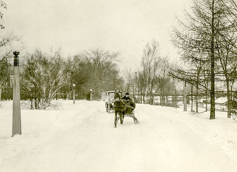 File:Horse Drawn Sleigh along the Driveway in Ottawa, ON (33211348018).jpg