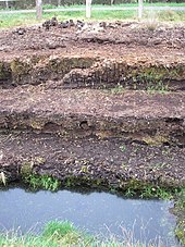Layering of a raised bog: plant remains, white peat and black peat (from the top) Huvenhoops Moorschichtung.jpg