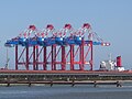 März 2012: Die ersten vier Containerbrücken für den JadeWeserPort stehen auf dem chinesischen Spezialschiff Zhen Hua 23 zur Entladung bereit.