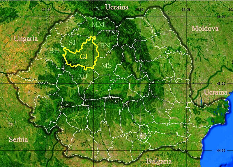 Файл:Judetul Cluj 3D map.jpg