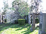 Jüdischer Friedhof Floridsdorf