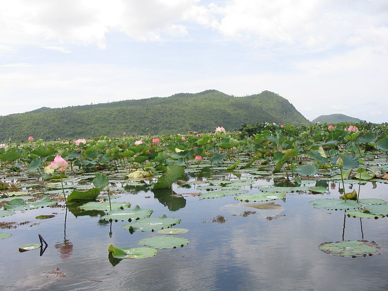 File:Kamping Puy Lake Battambang.jpg