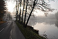 Hallegg pond on the Hallegger Street - Hallegger Teich an der Hallegger Straße