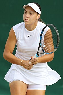 Konjuh WM17 (23) (36183607035).jpg 