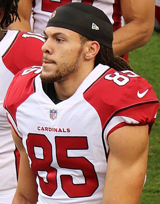 <span class="mw-page-title-main">Krishawn Hogan</span> American football player (born 1995)