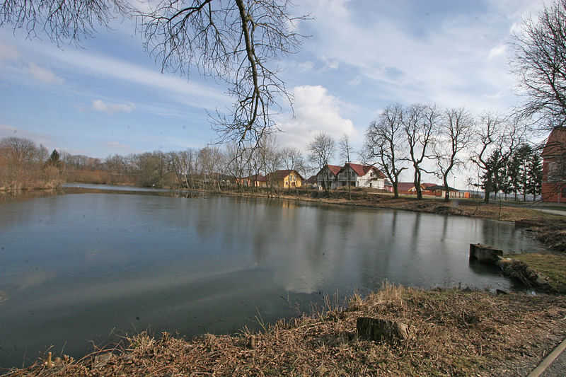 File:Kunčice dolní rybník.JPG