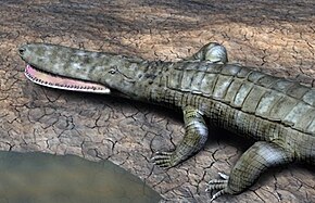 Popis tohoto obrázku, také komentován níže