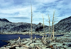 Lac Aloha makalesinin açıklayıcı görüntüsü