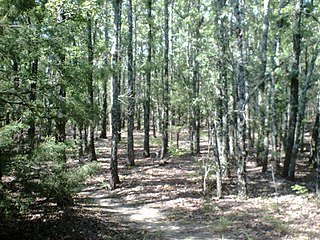 <span class="mw-page-title-main">Lake Tawakoni State Park</span> State park in Texas, United States