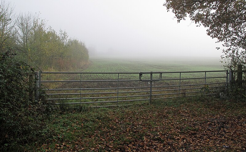 File:Large gate on entrance to field on Honey Pot Lane - geograph.org.uk - 2701841.jpg