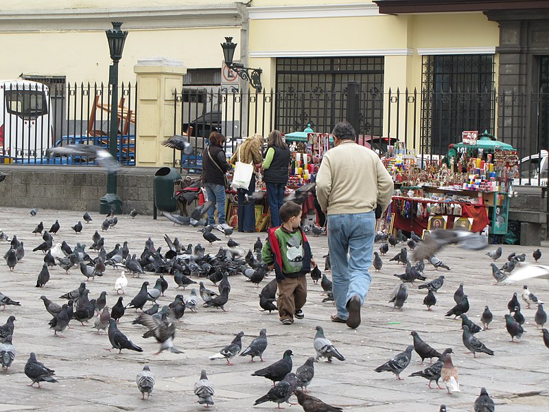 File:Lima Peru (4870111968).jpg