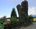 Small-leaved linden tree in Kleindombra