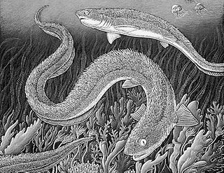 Listracanthidae An extinct family of cartilaginous fish