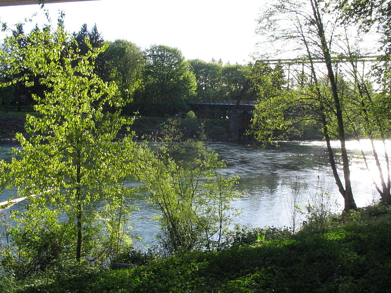 File:Lower McKenzie River, Oregon.jpg