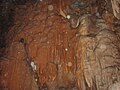 Mammoth Cave Nationalpark 010.jpg