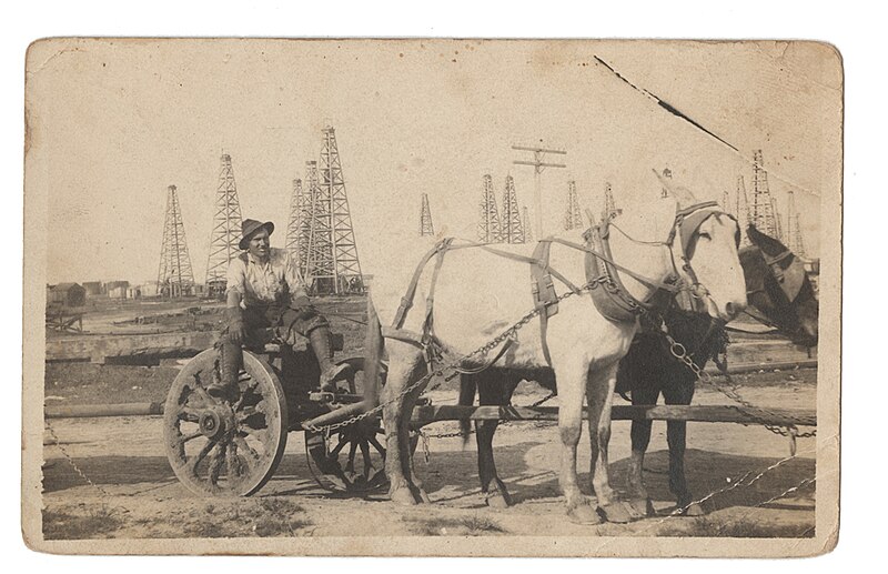 File:Man sitting in wagon with mules in oil field (7489695896).jpg