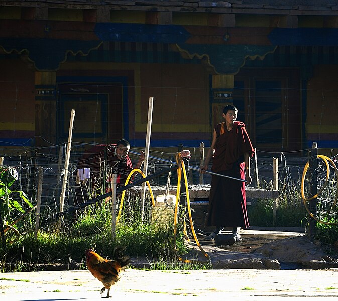 File:Markham Gompa.jpg