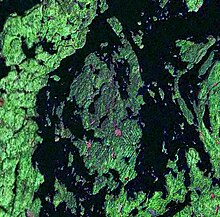 Southern end of Lake Temagami with the McLean Peninsula in middle. McLean Peninsula.jpg