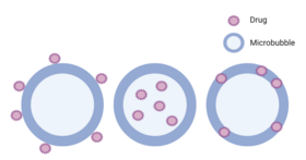 Mechanisms for Loading Microbubbles with Drug Mechanisms for Loading Microbubbles with Drug.png