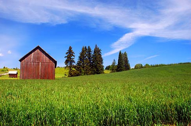 Image: Meier Road Barn (Washington County, Oregon scenic images) (wash DA0034)