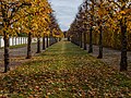 * Nomination Avenue of lime trees in the park of Seehof Castle --Ermell 08:53, 10 November 2023 (UTC) * Promotion  Support Good quality. --ArildV 09:10, 10 November 2023 (UTC)