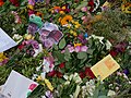 Memorials to Queen Elizabeth II in Hyde Park in 2022.