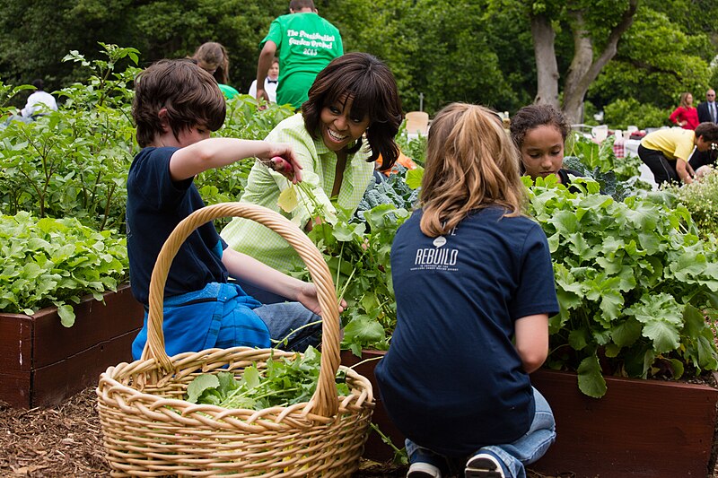 File:Michelle Obama harvests vegetables with students in the White House Kitchen Garden, 2013.jpg