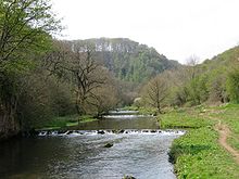 The river Wye at Millers Dale Millers Dale along the Monsal Trail - geograph.org.uk - 666.jpg