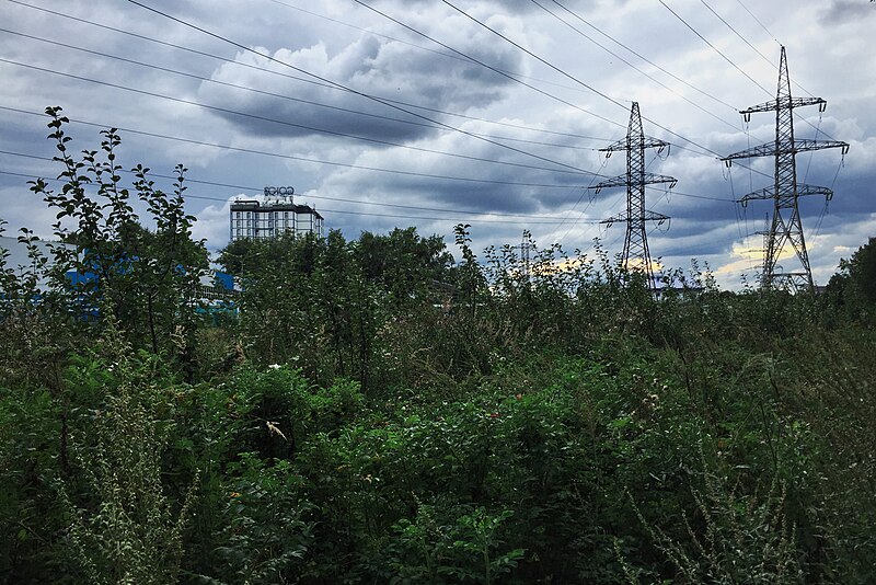 File:Moscow, power lines through Khimkinsky park (30806819203).jpg